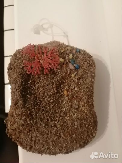 Островок для черепахи