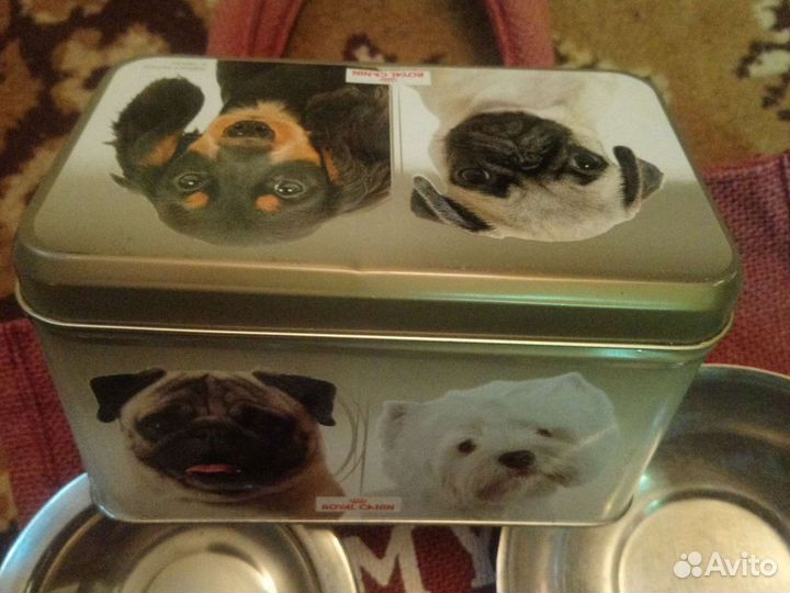 Когтерезка, шлейка, миски, баночка для корма