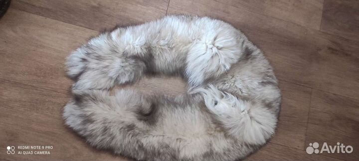 Песцовый воротник