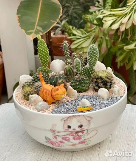 Камушки для цветов