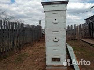 Улей для пчел бу