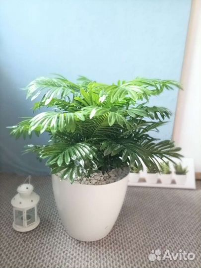 Искусственная пальма