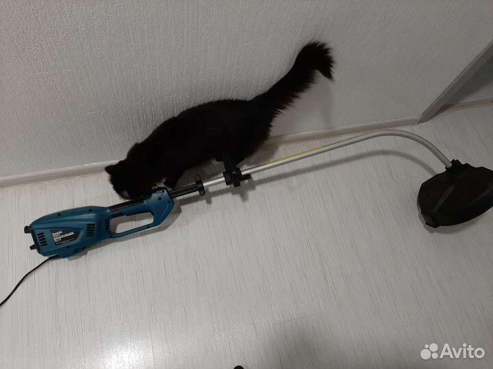 Электротриммер бу