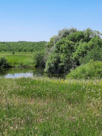 Участок 3,6 га (СНТ, ДНП)