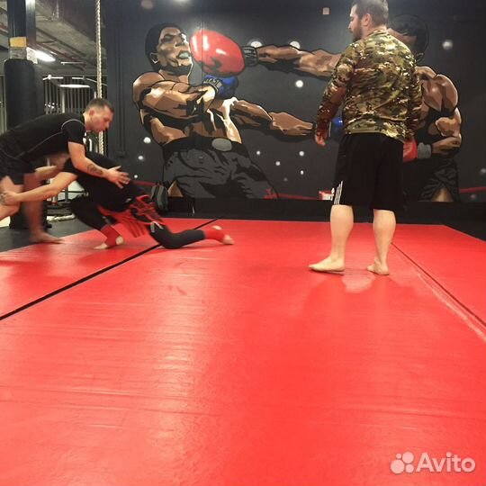 Мма смешанные боевые единоборства