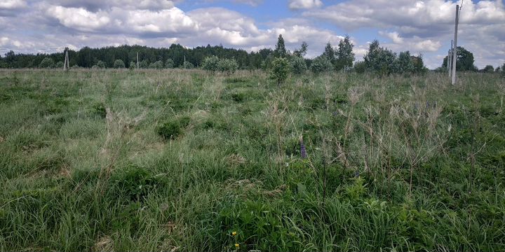 Участок 15 сот. (ИЖС)