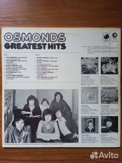 Виниловая пластинка