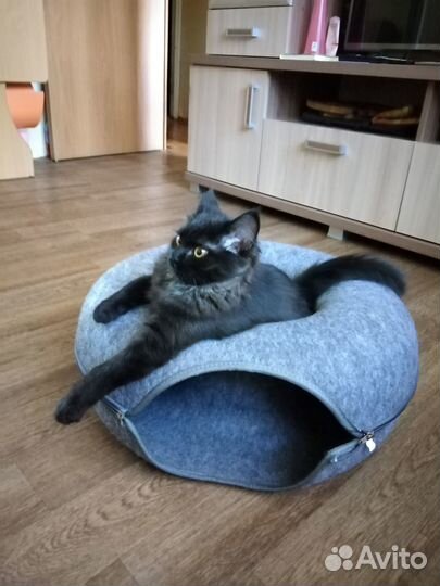 Домик-лежак для кошки