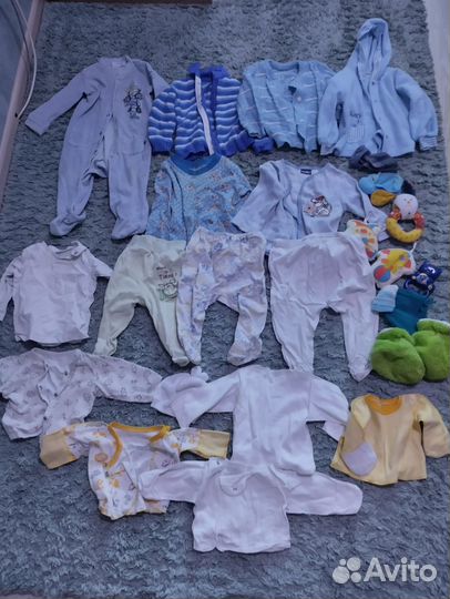 Отдам бесплатно