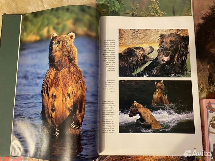 Энциклопедии диклй природы