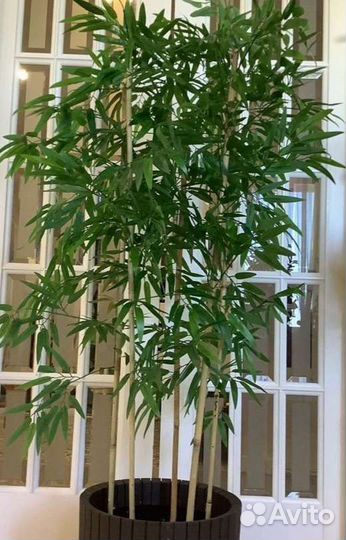 Искусственное дерево бамбук перегородка рейки нату