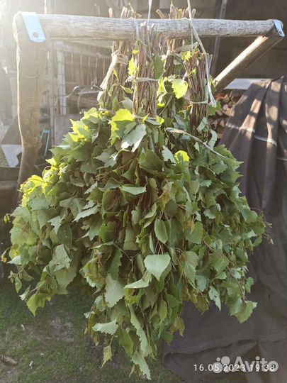 Дубовые, Березовые веники,свежие