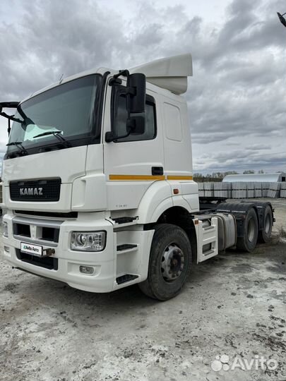 КАМАЗ 65206-Т5, 2019