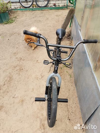 Велосипед Tech Team Goof BMX