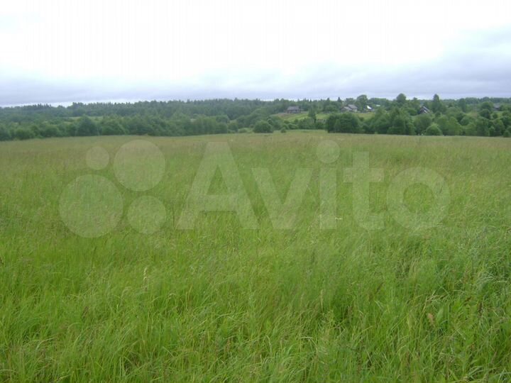 Участок 5,3 га (СНТ, ДНП)