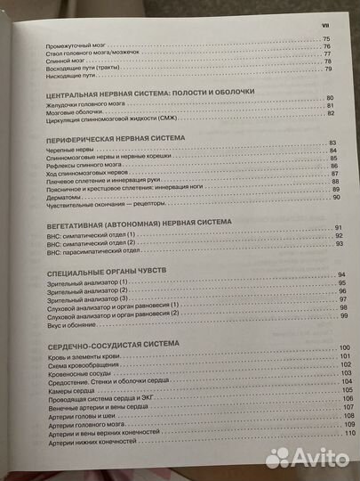Атлас-раскраска по анатомии человека
