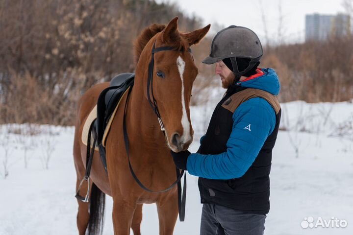 Конные прогулки и обучение