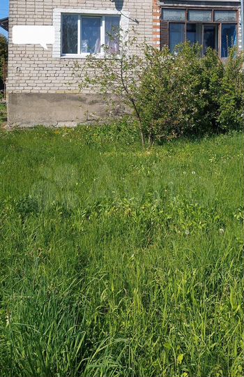 3-к. квартира, 69,5 м², 1/2 эт.