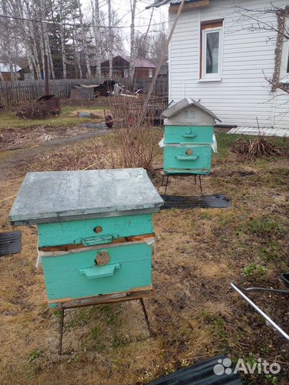 Улей для пчел