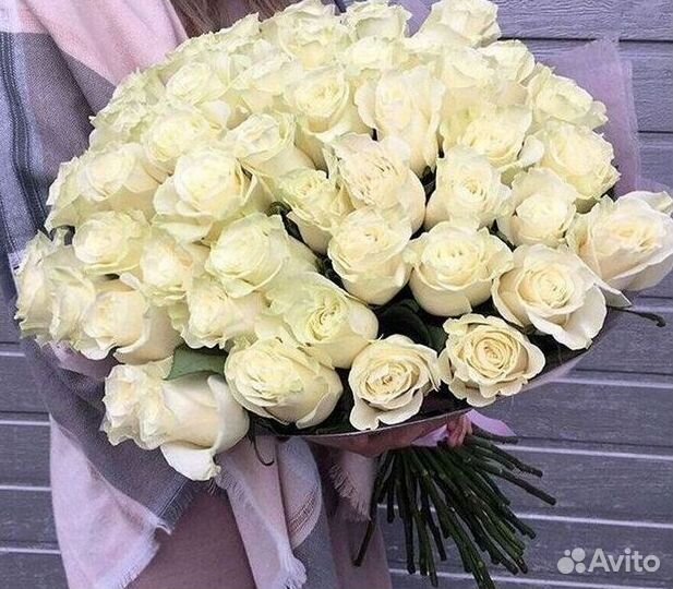 Высокие розы Гигантские розы с доставкой