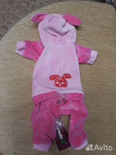 Одежда для маленьких собак