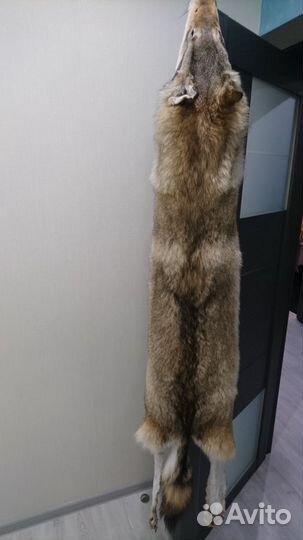 Шкура волка