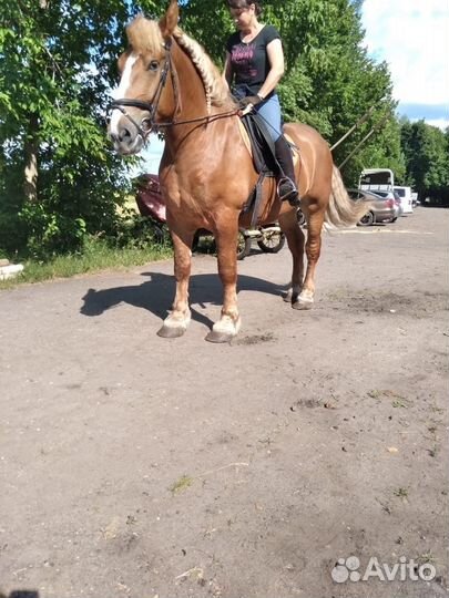 Продам советского тяжеловоза