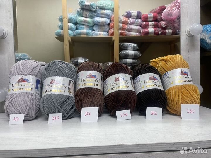 Himalaya dolphin baby