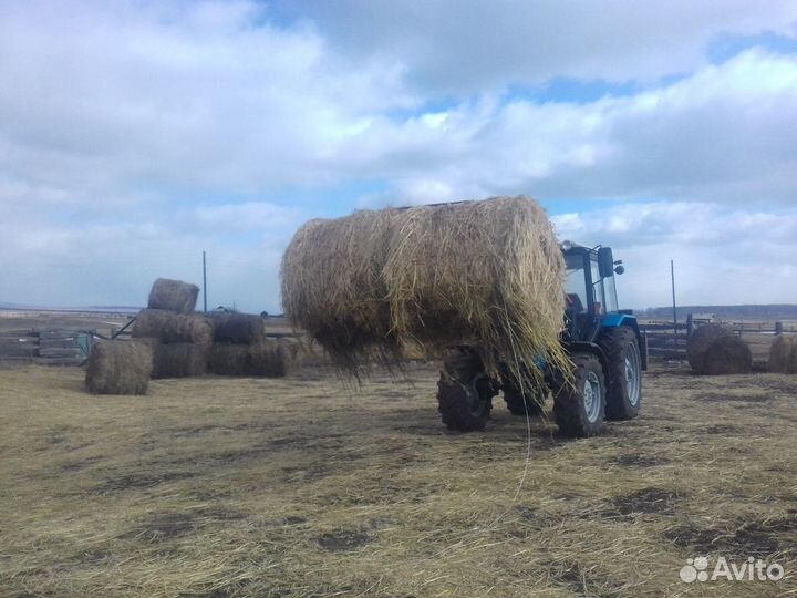 Трактор МТЗ (Беларус) 82.1, 2013