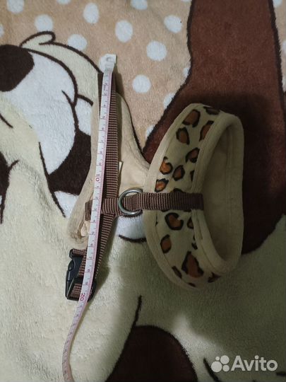 Шлейка для маленькой собачки