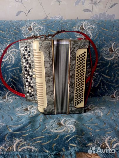 Баян немецкий