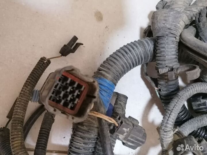 Проводка подкапотная Daewoo Nexia седан F16D3