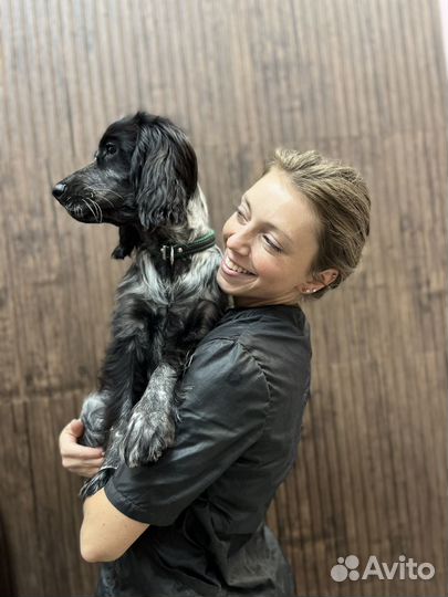 Груминг г. Мытищи,зоосалон LittleGroomer, Пирогово