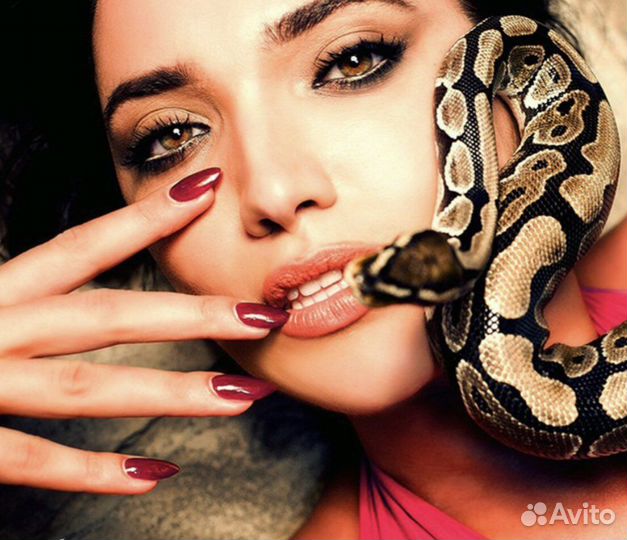 Змея для видео/фото съемки