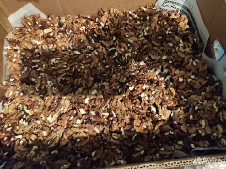 Грецкий орех краснодарский