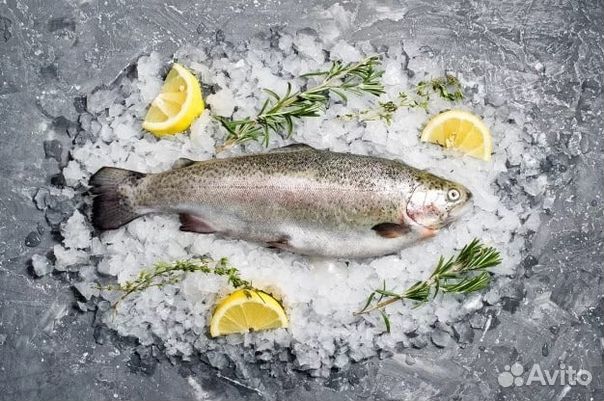 Форель охлажденная