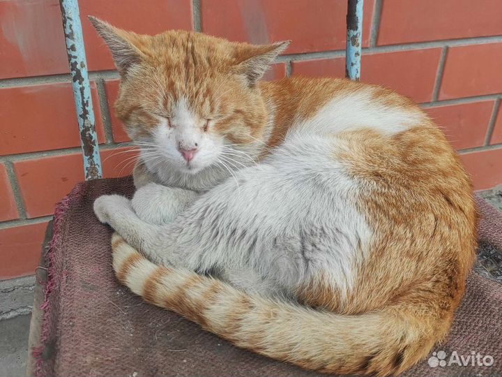 Заточка ножей и тд