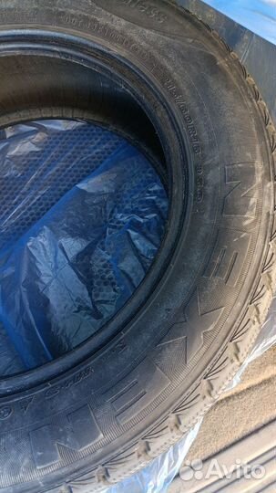 Nexen Winguard Ice 205/65 R16