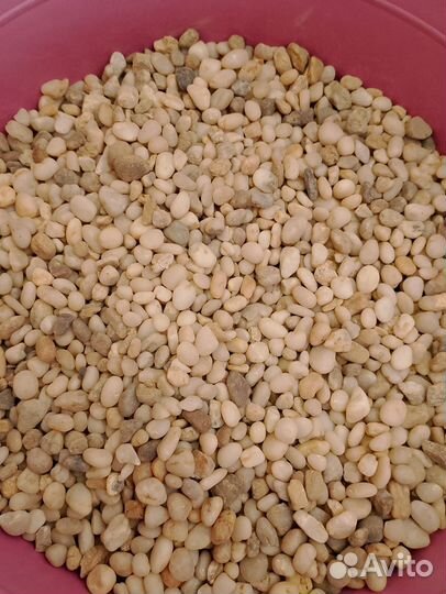 Грунт для аквариума