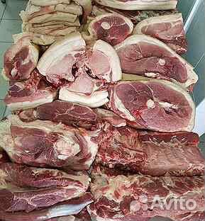 Мясо домашнее (Мангалица) кабан дикий