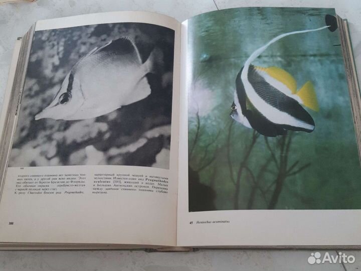 Энциклопедия рыб 1975год