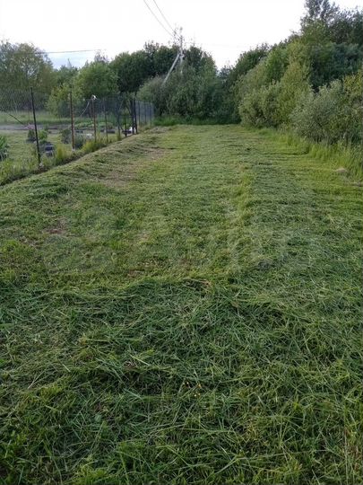 Участок 16 сот. (СНТ, ДНП)