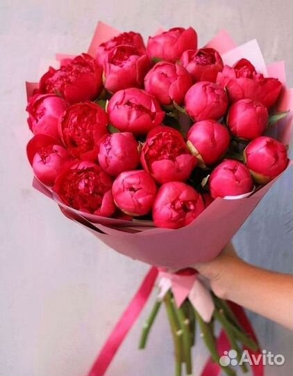 Пионы Букет пионов