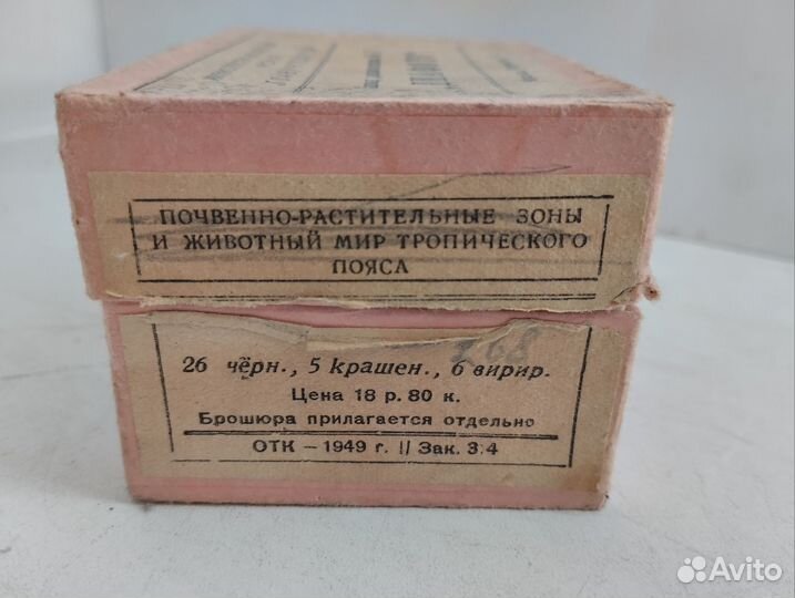 Диапозитивы стеклянные 1949 год