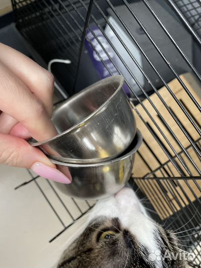 Клетка для грызунов бу СПб