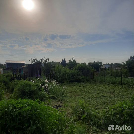 Покос травы