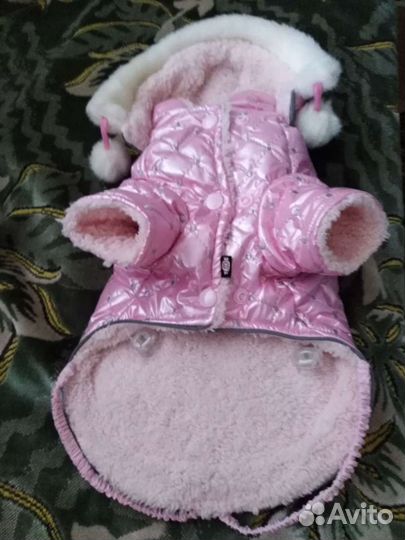 Курточка для чихуахуа