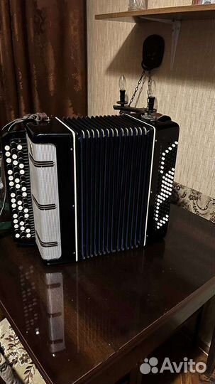 Баян вологодский