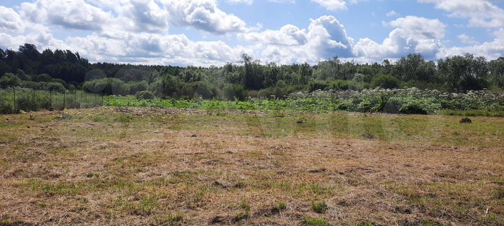 Участок 11 сот. (ИЖС)