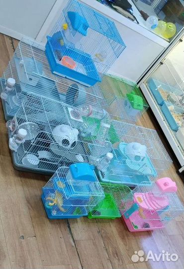 Хомяк с клеткой, большой выбор